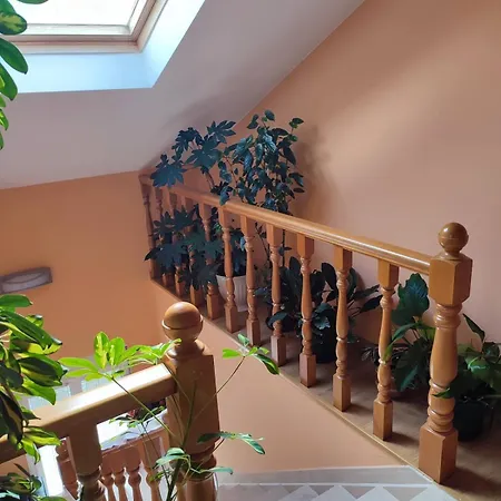 Duplex Con Jardin A Casina De Divina Lago (Lugo)